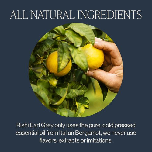 Rishi Tea Earl Grey Tea - Organic Loose Leaf Pure Black Tea with Bergamot Oil, Energizing & Caffeinated - 16 Ounces, 50+ Servings