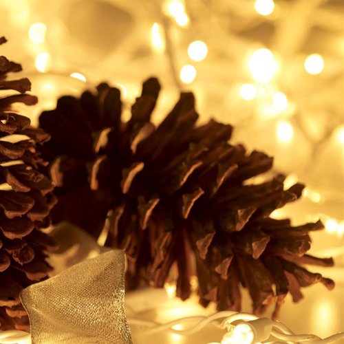 HISHINY Christmas Lights - 100 Count Mini Clear String Lights | 32ft White Wire for Indoor/Outdoor Decor