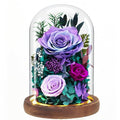 Valentine's Day Flower Gifts for Her - Forever Fresh Flowers Bouquet for Delivery, Preserved Purple Rose in Glass Dome with Light as Birthday Gifts for Women, Mom, Grandma, Friend, Wife, Girlfriend