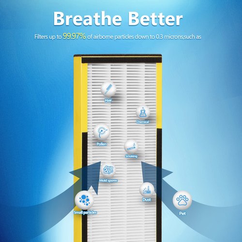 FCFMY 6 Packs FLT4825 H13 True HEPA Replacement Filter B Compatible with AC4300BPTCA, CDAP4500BCA, AC4825, AC4850PT, AC4820, AP2200CA Air Cleaner Purifier