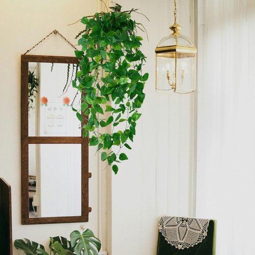 Fake Hanging Plants Vines(3pcs)for Room Decor, Artificial Ivy Greenery Garlands for Home Bedroom Living Aesthetic Kitchen Office Wall Patio Bookshelf,Indoor,Outdoor Farmhouse Decorations(No Basket)