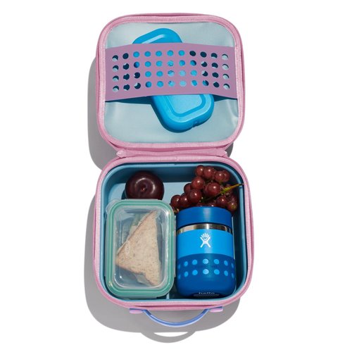 Hydro Flask Kids Small Insulated Lunch Box Anemone