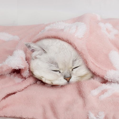 BORITAR Unicorn Baby Blanket for Girls 3D Soft Warm Fleece Jacquard Plush Bed Blanket Cute Animal Pattern for Toddler Infant Newborn or Home Decor (30 x 40 Inch, Pink)