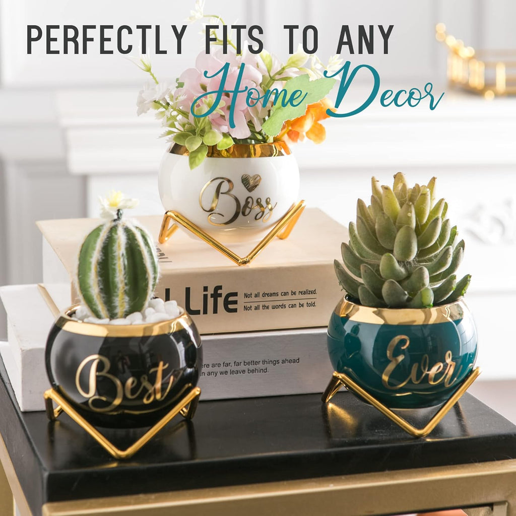 PeraBella Boss Gifts for Women | Thoughtful Succulent Pots - Perfect for Boss's Day & Birthdays - 3 Pcs