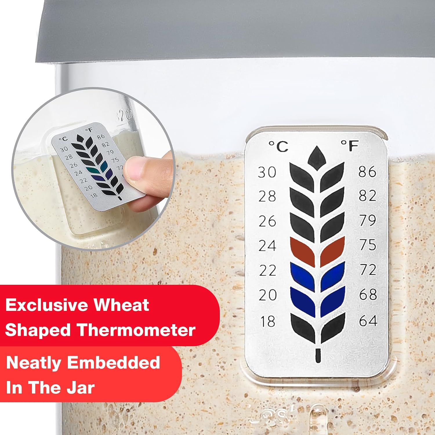 Skiennix Premium Pro Sourdough Starter Jar Kit - 40oz Wide Mouth Glass Container with Thermometer & Silicone Lid