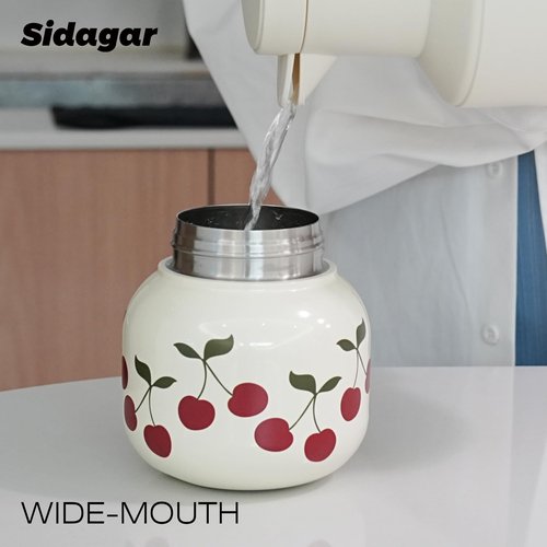 Sidagar 22 oz Tote Water Bottle with Straw and Carry Handle, Wide Mouth Vacuum Insulated Stainless Steel Tumbler, Travel Coffee Cup for Women Easy Carry, Cherry