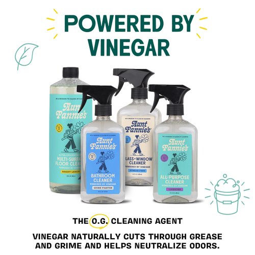 Aunt Fannie's All Purpose Bathroom Cleaner Vinegar Spray for Shower, Tub, Toilet, Tile, Sink and Fixtures, 16.9 Ounces (Pack of 1)