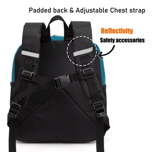 HawLander Little Kids Backpack for Boys or Girls, Toddler School Bag Fits 3 to 6 years old, D Green Blue, 12 Inch