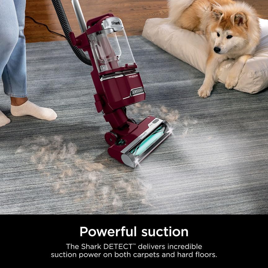 Shark DETECT Lift-Away Corded Upright Vacuum - Self-Cleaning Brushroll & Anti-Allergen Seal | Burgundy