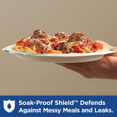 Dixie Medium-Weight Paper Plates - Pathways Design, 8.5 Inch, 500 Count (4 Packs)