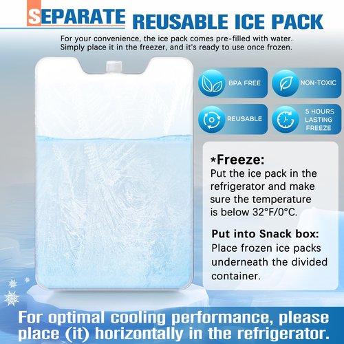 TENDWARE Chilled Portable Snackle Box Container Beach Essentials Insulated Bag Keep Food Warm, Divided Serving Tray Reusable Ice Pack Road Trip Essentials for Charcuterie Snack Picnic