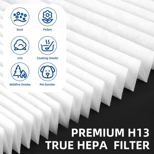 116130 Replacement Filter H for Winix 5500-2 AM80 Plasmawave Air Purifier, TRUE HEPA and Activated Carbon Filter by APPLIANCEMATES,2 Combo