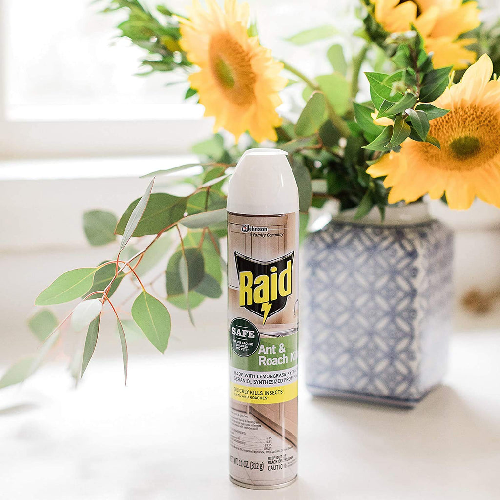 Raid Ant and Roach Killer - Effective Aerosol Spray with Essential Oils | 3-Pack