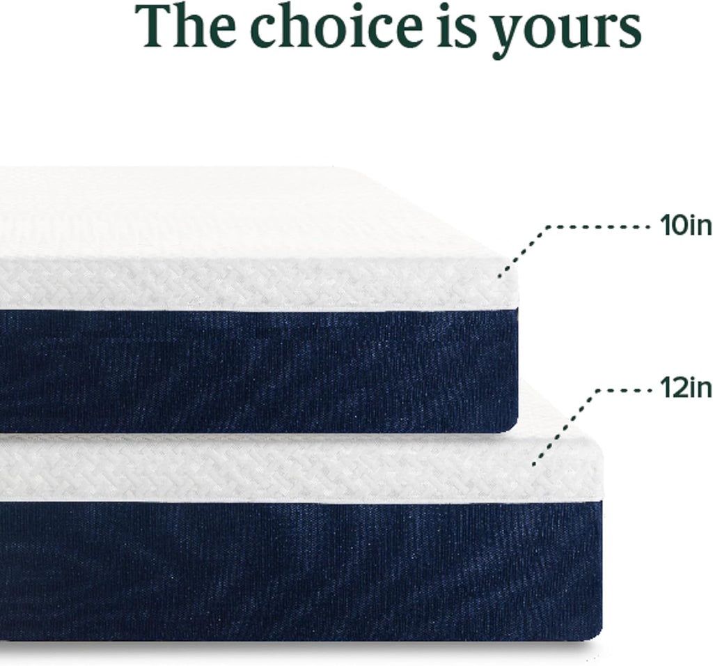 ZINUS 10 Inch Queen Cooling Comfort Hybrid Mattress - Medium Firm, Fiberglass Free, Motion Isolation