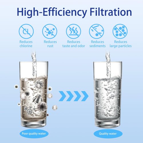 Renami Black Carbon Filter & Fluoride Filters, Combo Pack