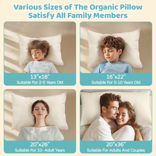 LOFE Organic Pillow with Pillowcase - 20x26 Organic Standard Pillow with 100% Organic Cotton Shell, Adjustable Loft Youth Plilow, Machine Washable, Soft, Perfect for Youth&Adults