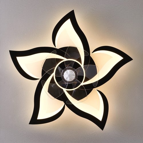 Dalouguan Ceiling Fan with Lights Remote Control, 24" Black, 6 Speeds 3 Light Color Low Profile Flush Mount Ceiling Fan for Kitchen Bedroom