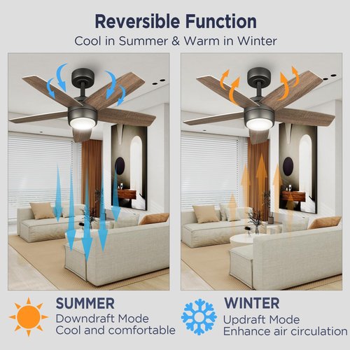 Vagizm Ceiling Fan with Light Remote: 36 Inch Small Ceiling Fans for Kids Bedroom Dorm Room Small Room- Reversible Quiet DC Motor Dimmable Light with 6 Speeds(Bronze+Walnut)