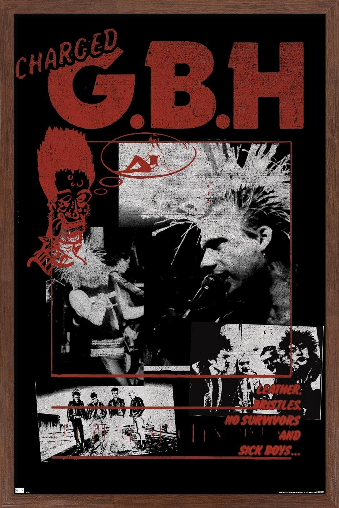 Trends International GBH - Montage Wall Poster, 22.4L x 14.7W, Mahogany Framed Version