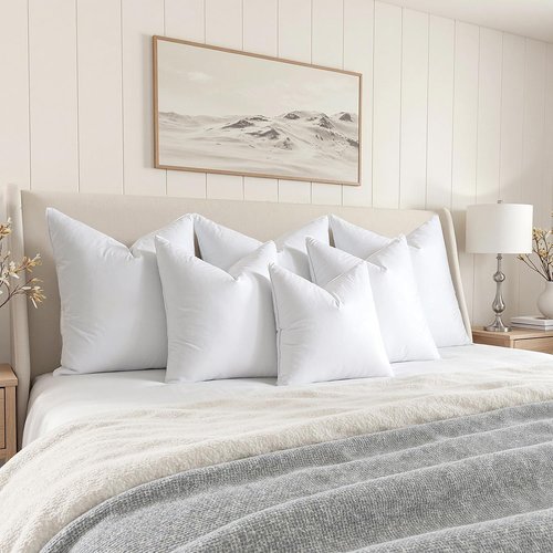 MIULEE 20x20 Pillow Inserts, Pack of 2 Down Feather Premium Throw Pillows with Cotton Fabric for Bed Couch Living Room Sofa