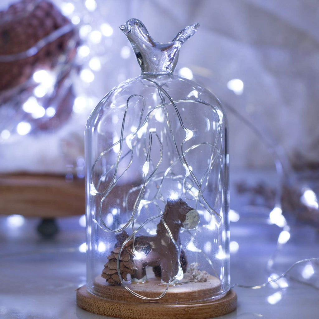 Skiennix 20 LED Fairy Lights - 7 Feet Battery Operated String Lights | Waterproof Silver Wire for Home & Party Decor