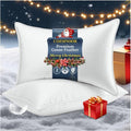 COZSINOOR Goose Down Feather Pillows - Queen Size Hotel Bed Pillows, Soft 600 TC Cotton Cover, Set of 2 for All Sleep Positions