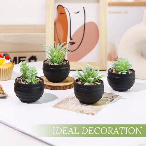 Der Rose Set of 6 Artificial Succulent Plants in Pots - Perfect for Halloween & Home Decor