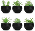 Der Rose Set of 6 Artificial Succulent Plants in Pots - Perfect for Halloween & Home Decor