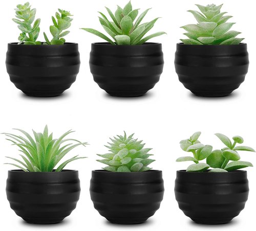 Der Rose Set of 6 Artificial Succulent Plants in Pots - Perfect for Halloween & Home Decor