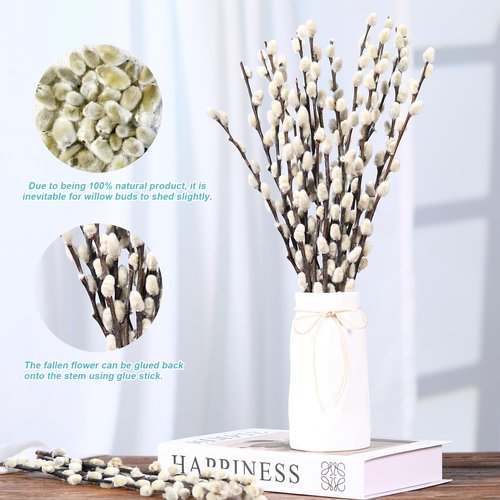 Natural Preserved Dried PussyWillow Branches for Vases, 15 Stems Real Willows, 17" Snow Pussywillows, Dried Flowers for Indoor and Outdoor Decor, Wedding Home DIY Floral Art Plants Fireplace