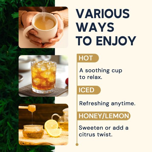 Ginger Root Herbal Tea - Caffeine Free, 50 Tea Bags