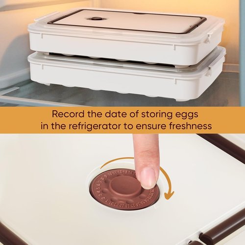77L Deviled Egg Containers - Set of 2 Clear Plastic Trays with Lid & Handle for 48 Eggs