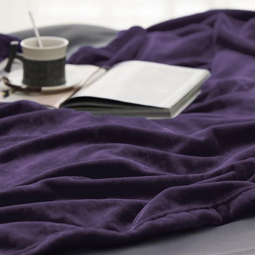 Bedsure GentleSoft Fleece Blanket - Lightweight Plush Twin Size Purple Blanket for Cozy Comfort 60x80 Inches