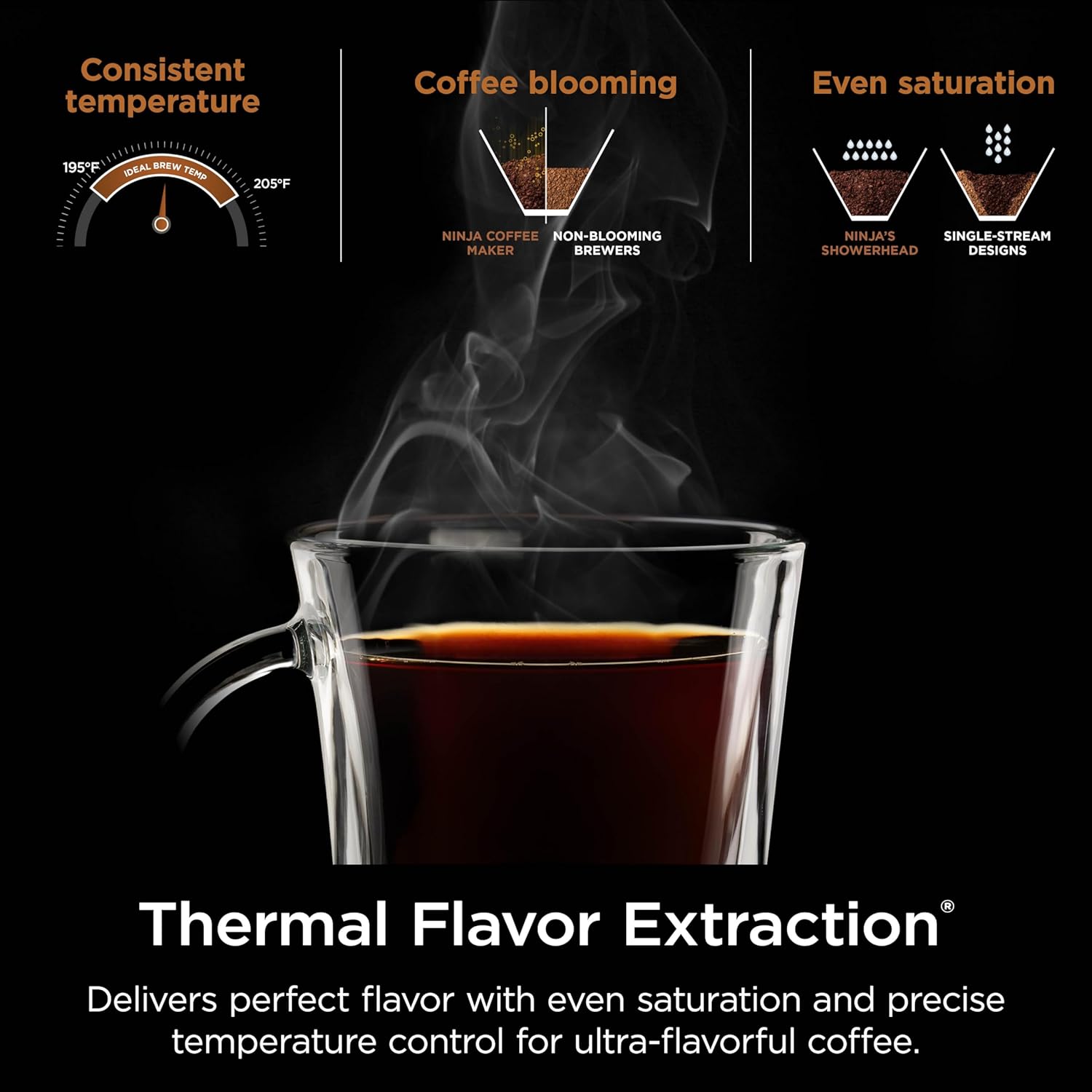 Ninja Specialty Coffee Maker - Hot & Iced Coffee with 6 Brew Styles | 10-Cup Carafe, Black