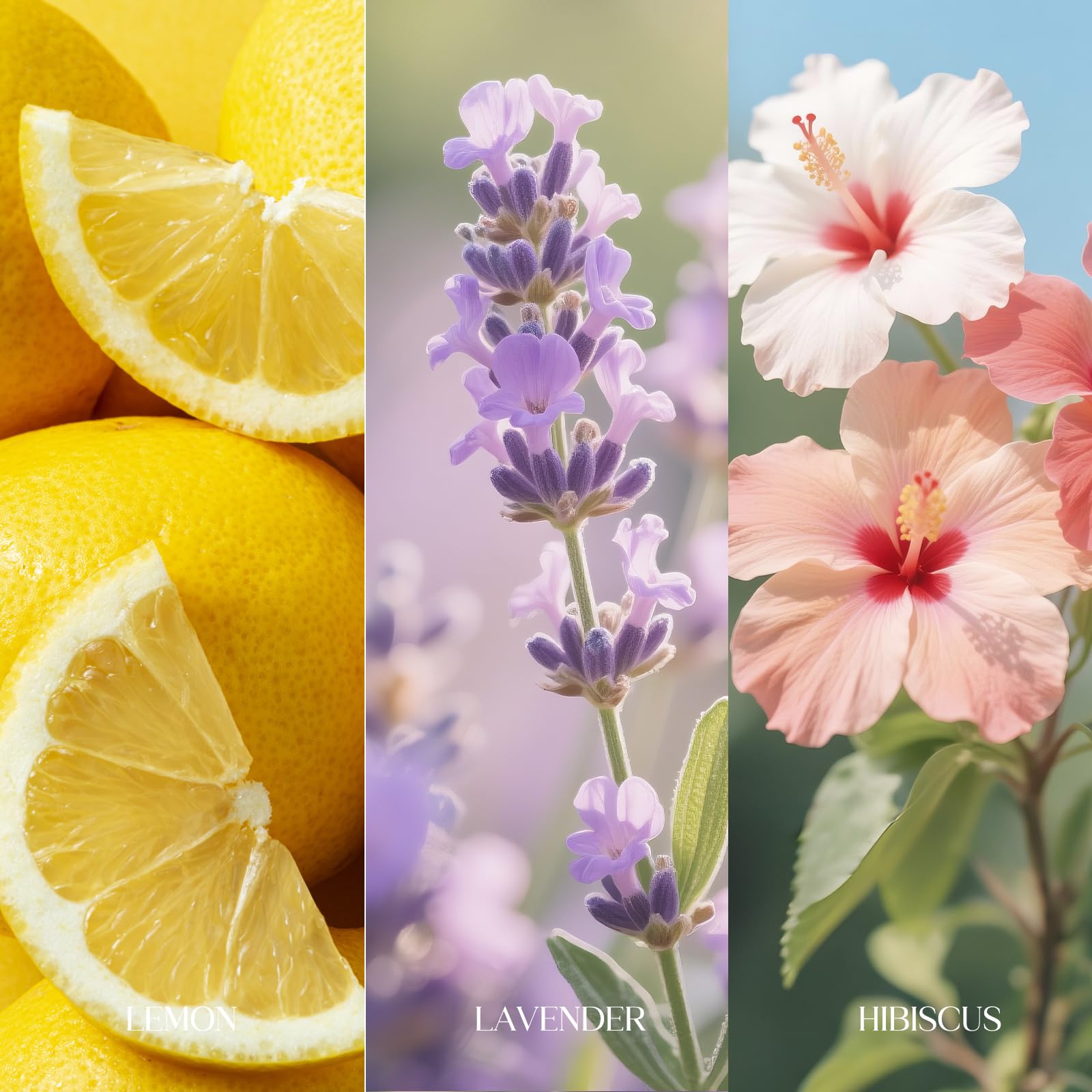 Travel Size Toilet Spray, Bathroom Odor Eliminator, 3 Pack, 1 fl oz Each, Up to 150 Uses, For Home and Travel, Essential Oils Freshener Spray, Lemon, Hibiscus, Lavender