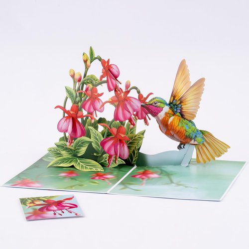 POPWOW Humming Bird Pop Up Card, Fuchsia, 3D Popup Greeting Cards, Gift For Birthday, Mothers Day, Anniversary, Valentines, Thinking Of You, Thank You, 5x7 - Includes Envelope And Message Note