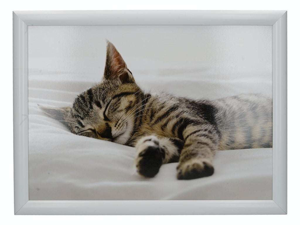 Creative Tops Kitten Lap Tray with Cushion, Bean Bag Cushioned, 44 x 34cm, Multi-Colour