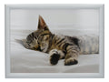Creative Tops Kitten Lap Tray with Cushion, Bean Bag Cushioned, 44 x 34cm, Multi-Colour