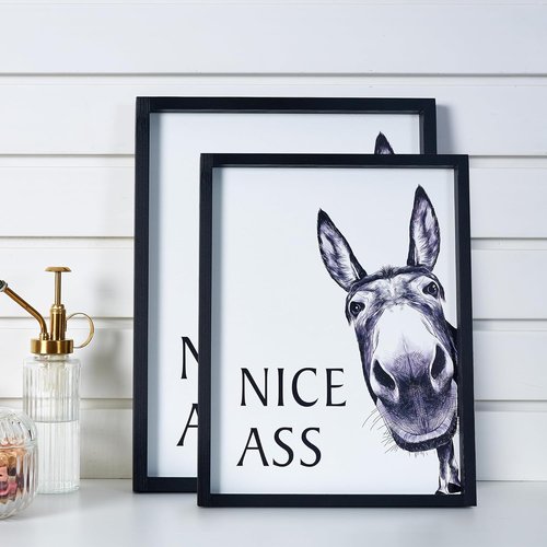 HKBS Framed Bathroom Wall Art - Funny Donkey Decor Sign | Vintage Farmhouse Style (14" L x 11" W)