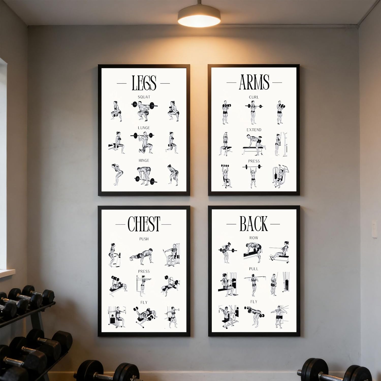 Skiennix Fitness Exercises Wall Art - Dumbbell Workout Poster for Gym & Home Decor | Strength Training