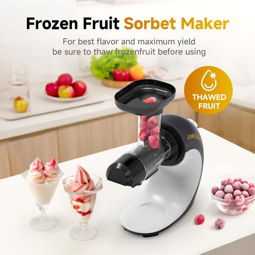 Frozen Fruit Sorbet Maker - Soft Ice Cream Maker for Healthy Vegetarian and Dairy Free Snacks, Easy to Clean (Silver Gray - Sorbet Maker)