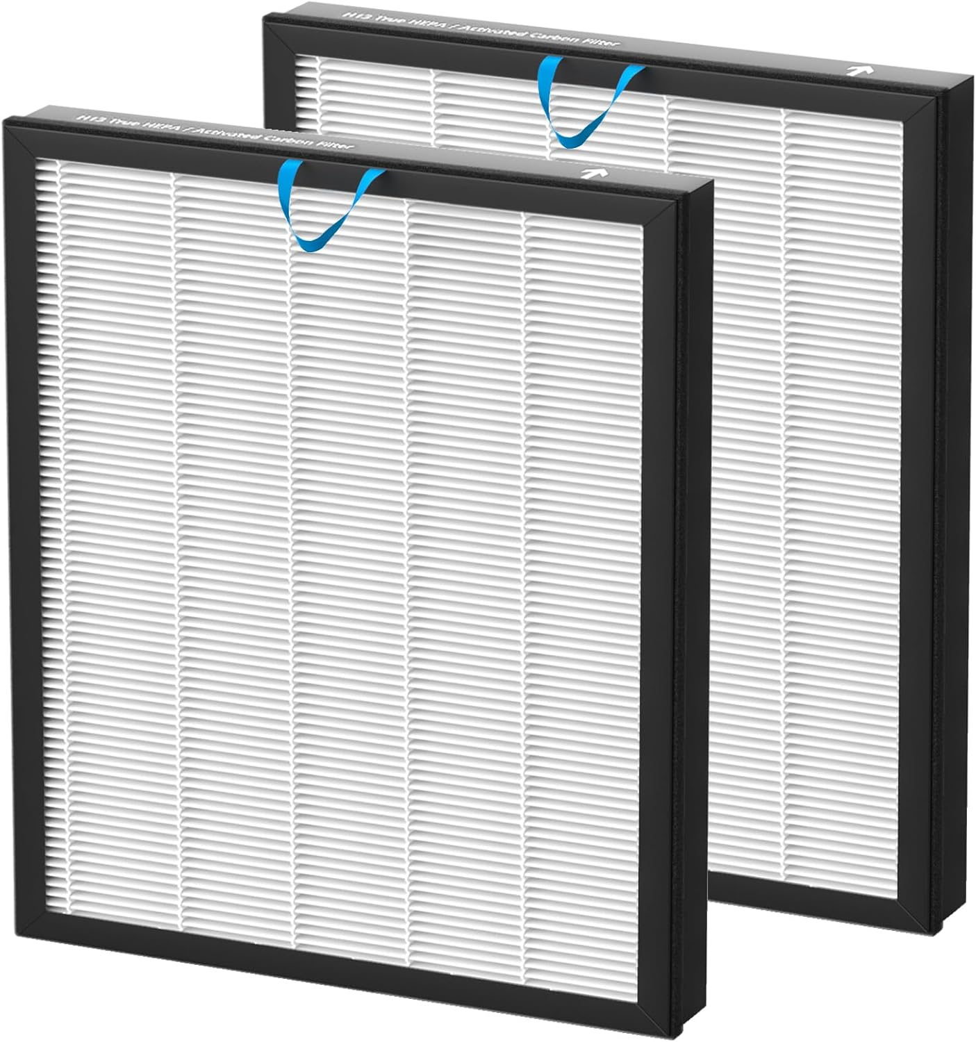 Vital 100S-P Replacement Filter - 3-in-1 H13 True HEPA & Activated Carbon | 2 Pack White