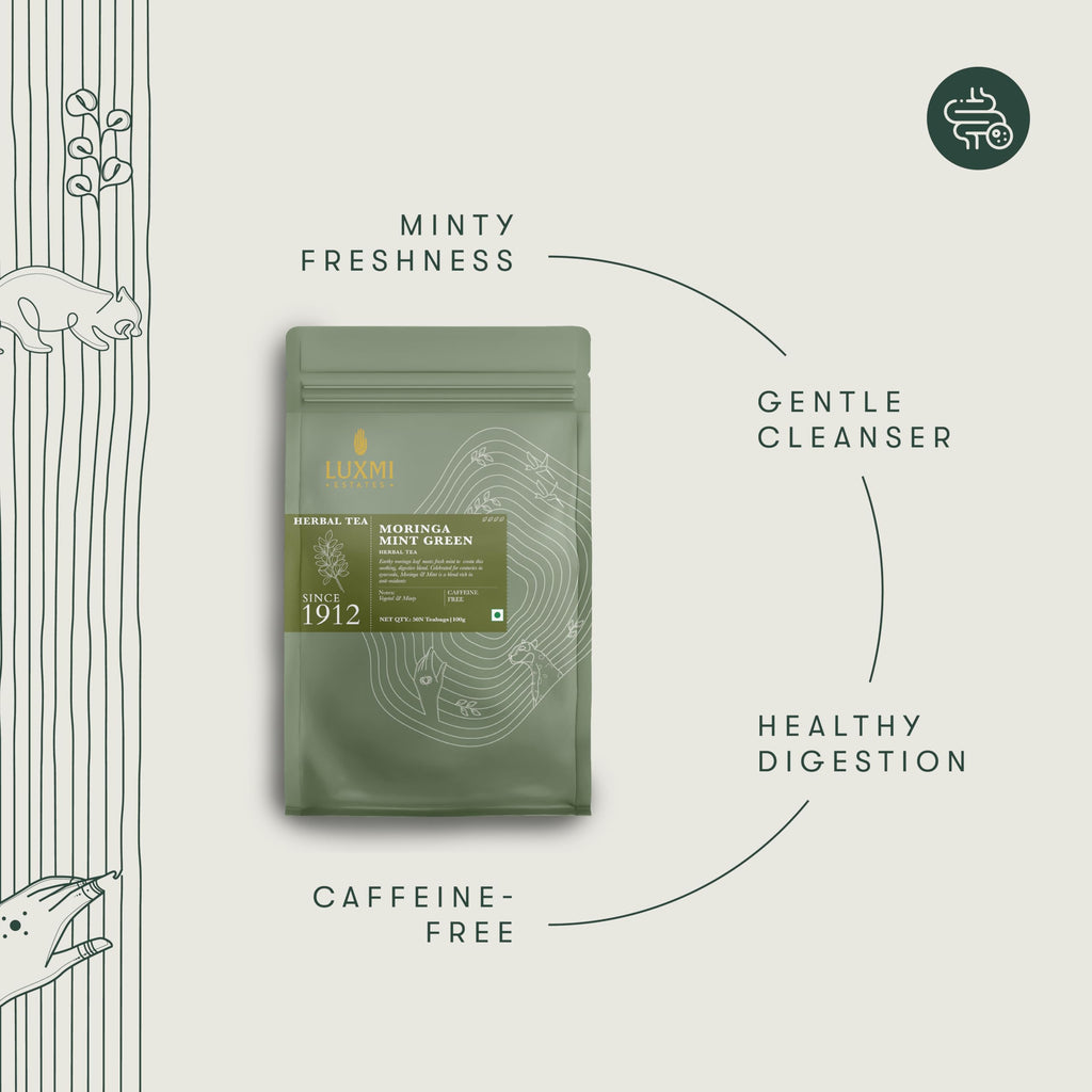 Luxmi Estates Moringa Mint Herbal Tea, 50 Biodegradable Pyramid Tea Bags (100g, 3.5oz) | USDA Organic Moringa Oleifera Leaf with Spearmint | Caffeine-Free Superfood Infusion, Vegan & Non-GMO Bulk Pack