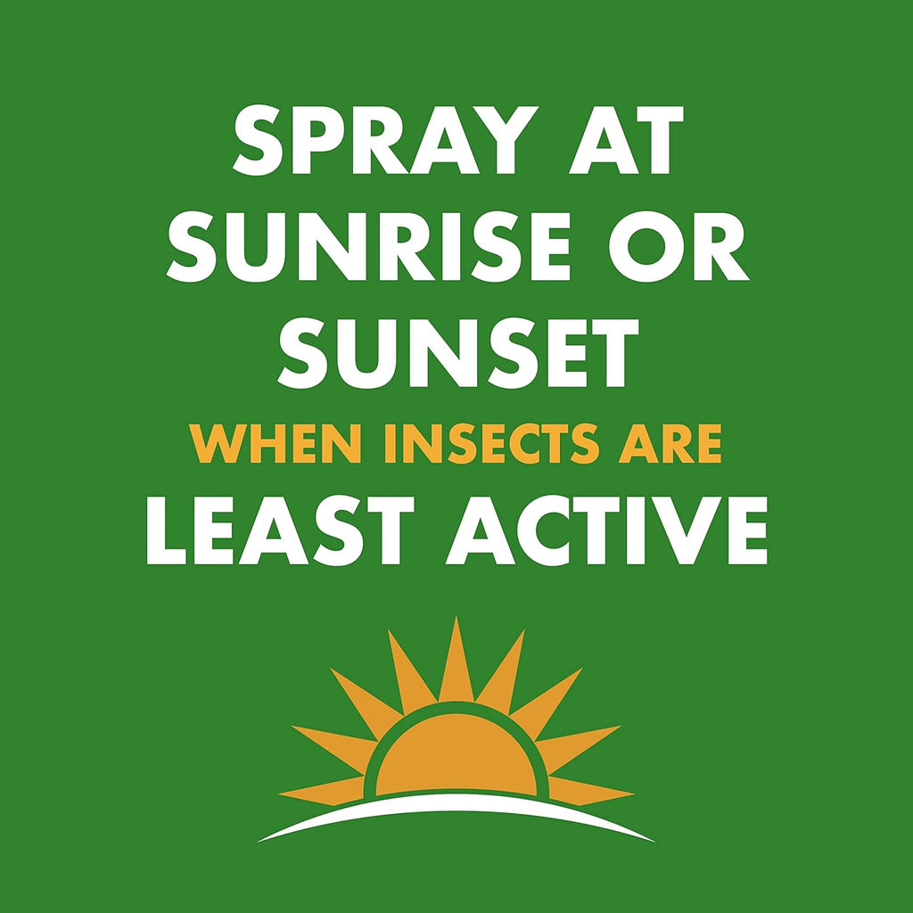 Spectracide Wasp & Hornet Killer Aerosol - Instant Kill for Wasps, Hornets & Yellow Jackets | 12 Pack
