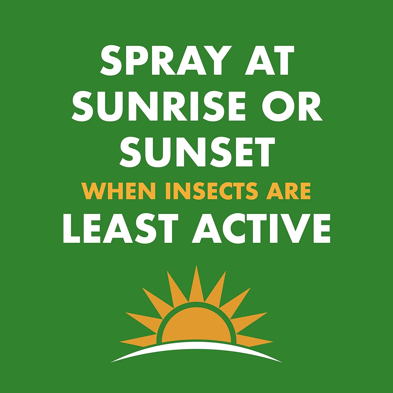 Spectracide Wasp & Hornet Killer Aerosol - Instant Kill for Wasps, Hornets & Yellow Jackets | 12 Pack