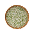 Round Rattan Tray with Mother of Pearl Inlay, Rattan Serving Tray with Wooden Base, Decorative Wicker Basket for Table Decor, Storage and Display of Coffee Bread Food Fruit (Leaf 13.5")