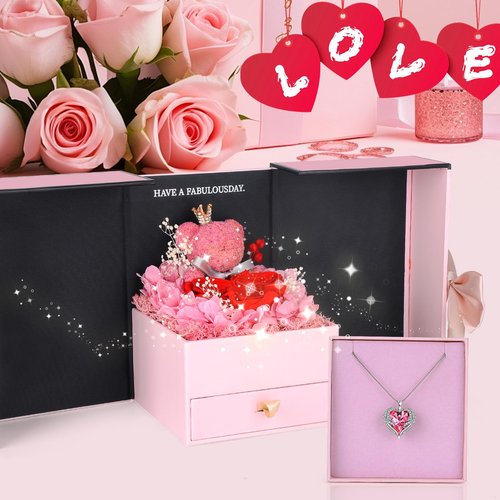 Suturun Preserved Roses Forever Flowers Gifts for Women,Eternal Preserved Rose with Necklace Romantic Gift for Her,Mom,Wife,Girlfriend on Birthday Anniversary