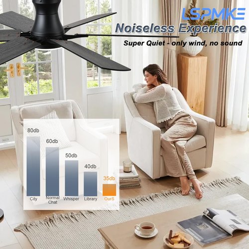 lspmke Ceiling Fans with Lights, 52 Inch Low Profile Ceiling Fan with Light and Remote, Flush Mount, Quiet, Reversible, 3CCT, Dimmable, Black RGB Ceiling Fan for Bedroom, Living Room, Indoor/Outdoor