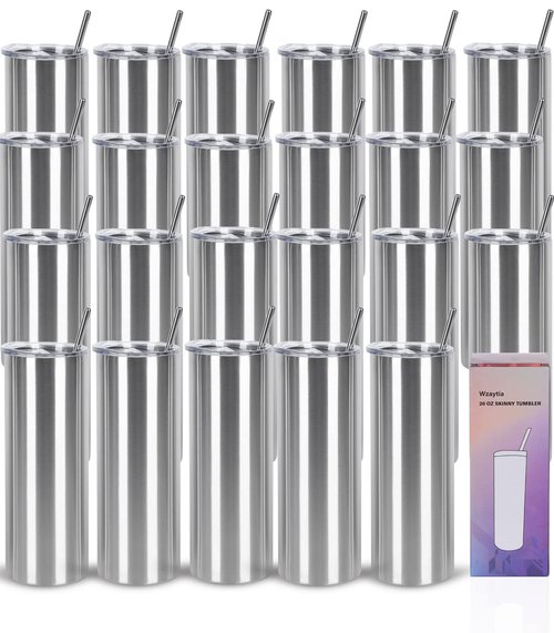 Wzaytia 24 Pack 20 Oz Stainless Steel Straight Tumblers, Insulated Slim Skinny Travel Cup Set, BPA-Free Lids and Straws Included, Silver