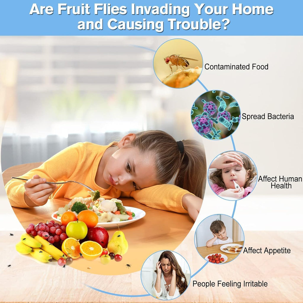 Skiennix Fruit Fly Traps - Effective Indoor Gnat Killer | Safe for Pets & People, Durable Sticky Design